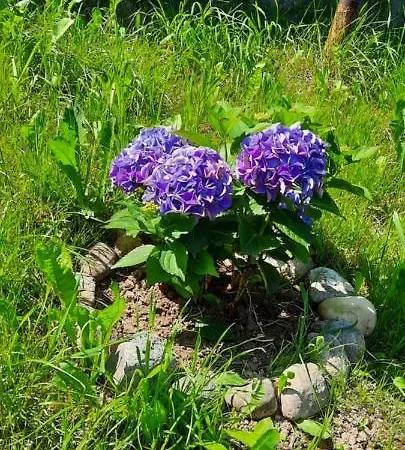 Parque de Campismo Mfn - Sator Visoko